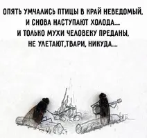 q9UxqXtfhrk.webp