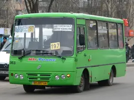 7013165.webp