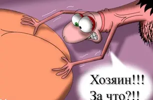 EFE890C0-6D2D-4640-90B2-8231CFFA26BB.webp