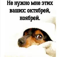 Screenshot_20211012_105610.webp