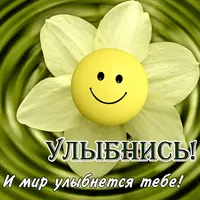 1566484977_ulybnis-4.webp