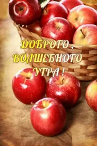 IMG-20211015-WA0005.webp