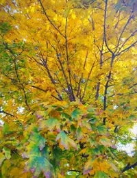 IMG_20211016_094720.webp