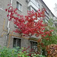 IMG_20211016_102235.webp