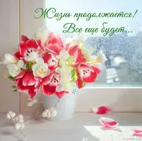 IMG_20211016_221133_860.webp