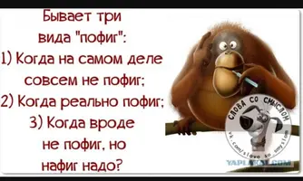 IMG_20211017_091713.webp