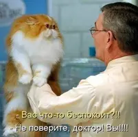 f176b3889f1744bb61d420284c91c055.webp