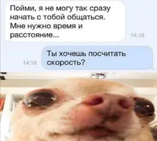 Screenshot_20211016_204108.webp