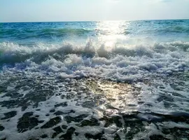 AW3DjePl02s.webp