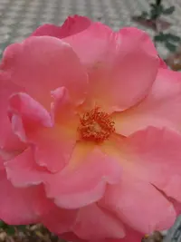 20211016_160428.webp
