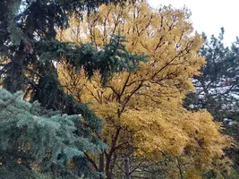 20211016_154251.webp