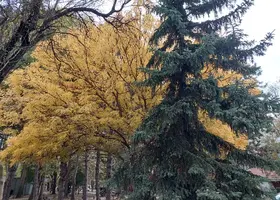 20211016_154209.webp