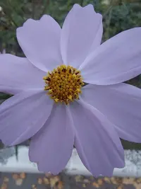 20211017_174420.webp