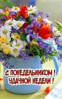 IMG-20211018-WA0003.webp