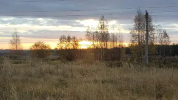 0_IMG20211018070742.webp