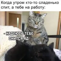 Screenshot_20211014_174914.webp