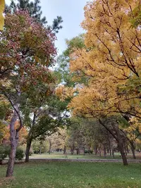 20211016_155550.webp