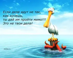 54196240.9x2bo9vgz2.W665.webp