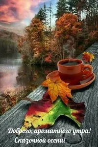 IMG-a459713ca7a0291263f9c805ef62410f-V.webp