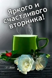IMG-20211019-WA0002.webp