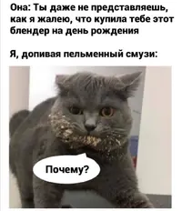 Screenshot_20211019_084710.webp