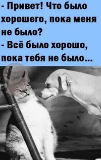glezwlzm3tw.webp