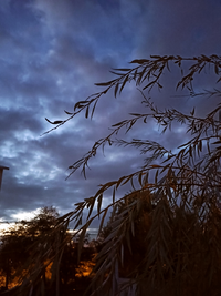 IMG_20211019_183941.webp