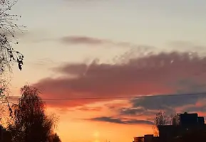Screenshot_20211020-075424_Gallery.webp