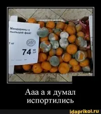195dbf3553a9b930014ced7e1411ed37.webp