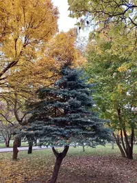 20211016_155506.webp