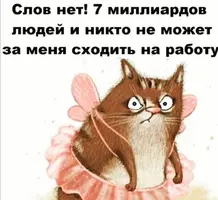 Screenshot_20211016_204205.webp