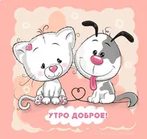 FB_IMG_1634793462007.webp