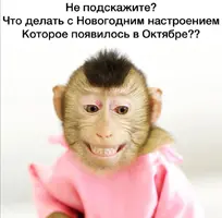 Screenshot_20211017_223840.webp