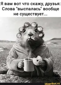 8d57a03ebfbd0a2df269912909bc159c.webp