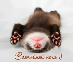 3775c8da8f8202c63eea6dfa15048030.webp
