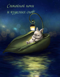 textopics_ru_26767.webp