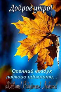 IMG-20211023-WA0003.webp