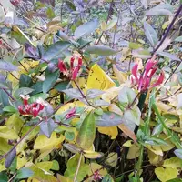 IMG_20211023_150435.webp