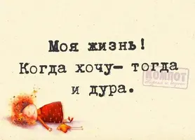 646ddfc88f31cffe7e2ac361d0056b1d.webp