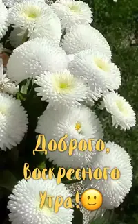AF5E7158-E04B-4AEA-AC67-627C05BB4551.webp