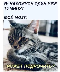 574091D4-CE68-4B13-9A63-5FF9804D964C.webp