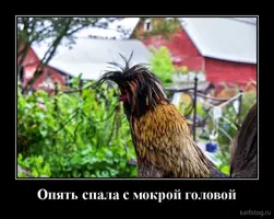 1633506772_031.webp