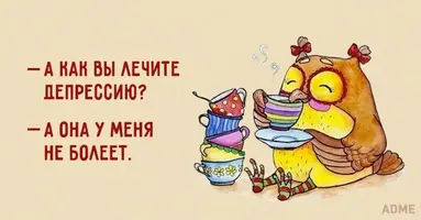75a11251b6be482ab5ca129517.webp