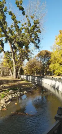 W91j8N2G-x4.webp
