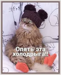 94f0c0f90482e0facd317bf2e7feec60.webp