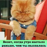 Screenshot_20211019_084834.webp