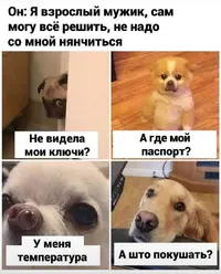 -jHA81UG-H8.webp