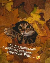 86a127c57020a382c054d5546f6c2825.webp