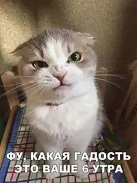 FB_IMG_1635141815534.webp