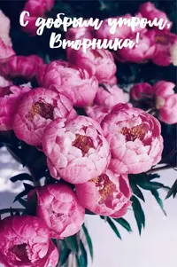 F6F60C45-A98C-4917-8B98-842956DC8AB6.webp